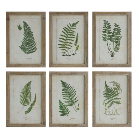 Framed Fronds Wall Decor in Glass